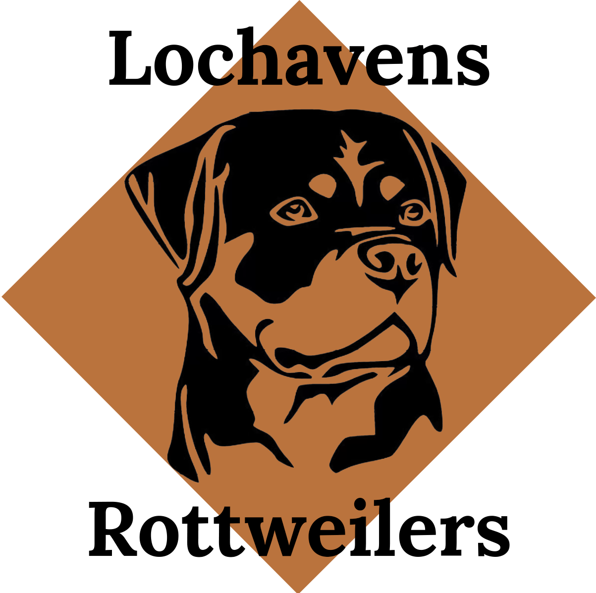 Lochavens Rottweilers